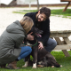 cane - scelta - razza - cani di piccola taglia - taglia media o grande - un esperto - scelta del cucciolo - binomio uomo-cane - allevatore professionista